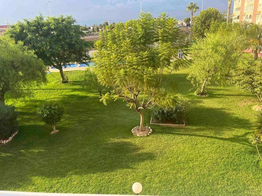 Apartamento Casa Di Mateo With Garden View And Swimming Pool Torrevieja Exterior foto